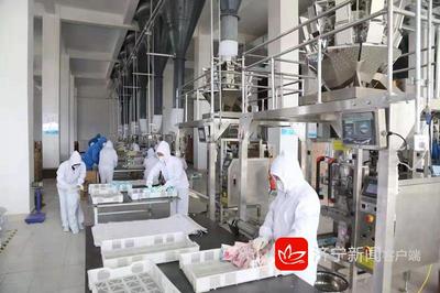 2019年济宁市新旧动能转换现场观摩团走进嘉祥日化产业的启示